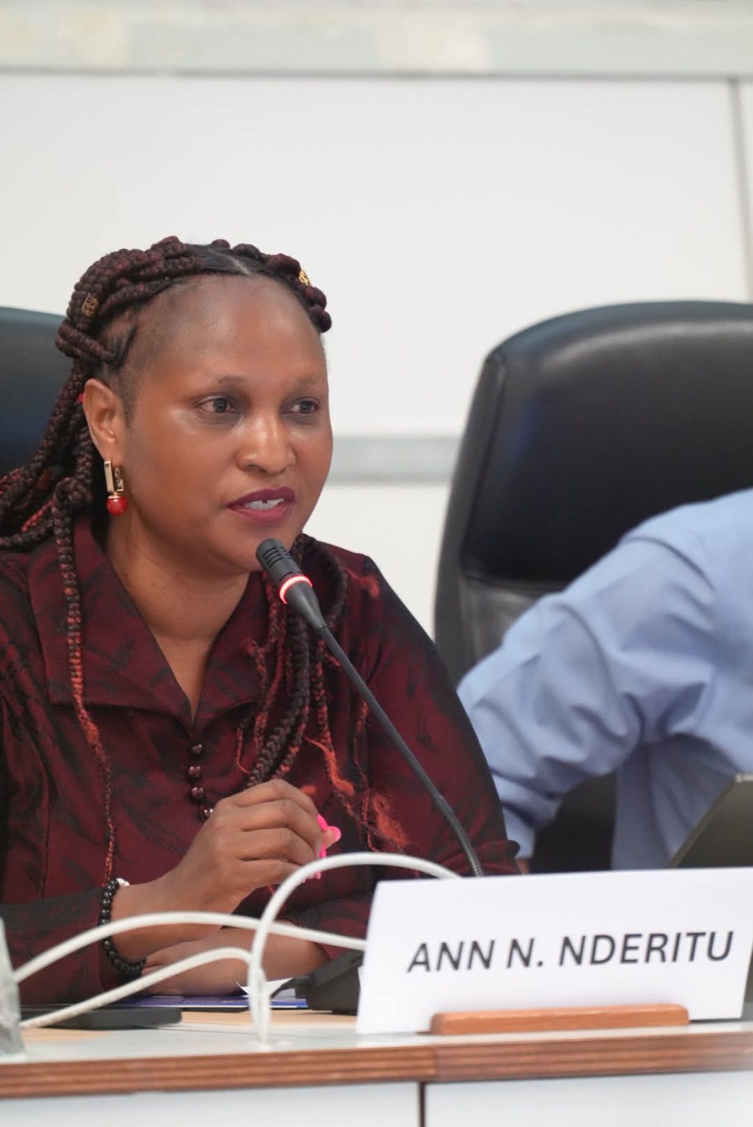Is Democracy Under Threat? Dr. Anne Nderitu, CBS Joins Global Leaders in Brussels to Champion Inclusive Participation