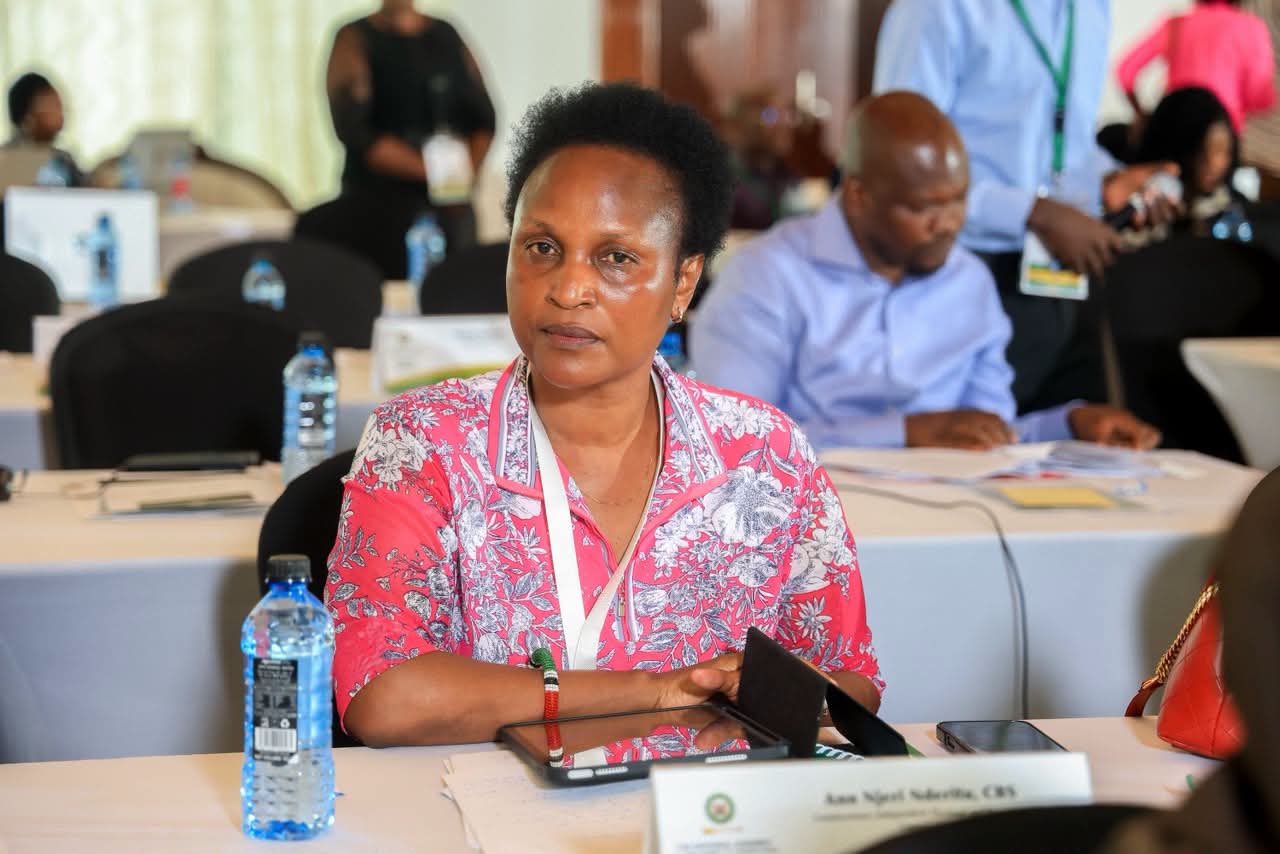IEBC Updates National Assembly Liaison Committee on 2027 Election Preparedness