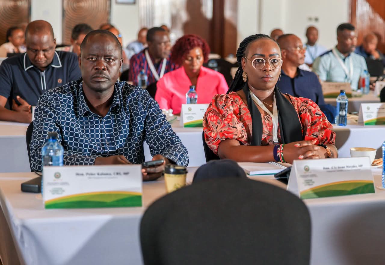 IEBC Updates National Assembly Liaison Committee on 2027 Election Preparedness